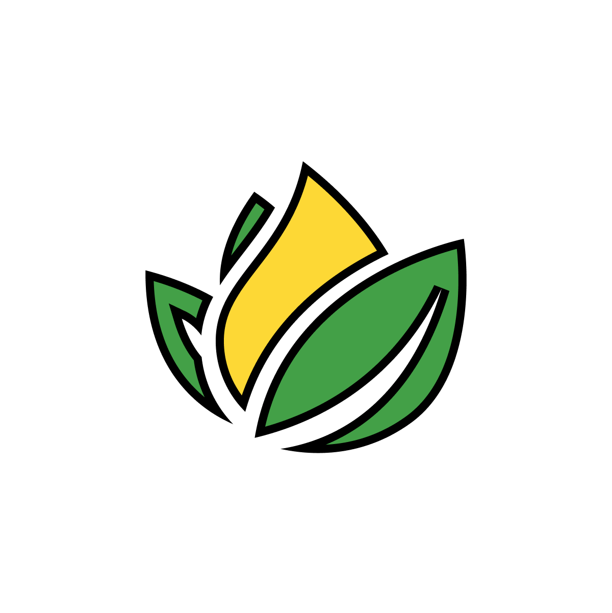 brand company
